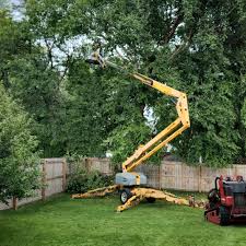 Best Commercial Tree Services  in Ronkonkoma, NY