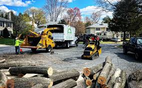 Best Stump Grinding and Removal  in Ronkonkoma, NY